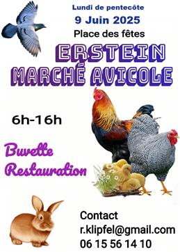 Une image contenant texte, lapin, galliformes, volaille

Le contenu gnr par lIA peut tre incorrect.